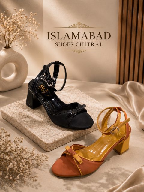 Ankle Strap Block Heel Sandals